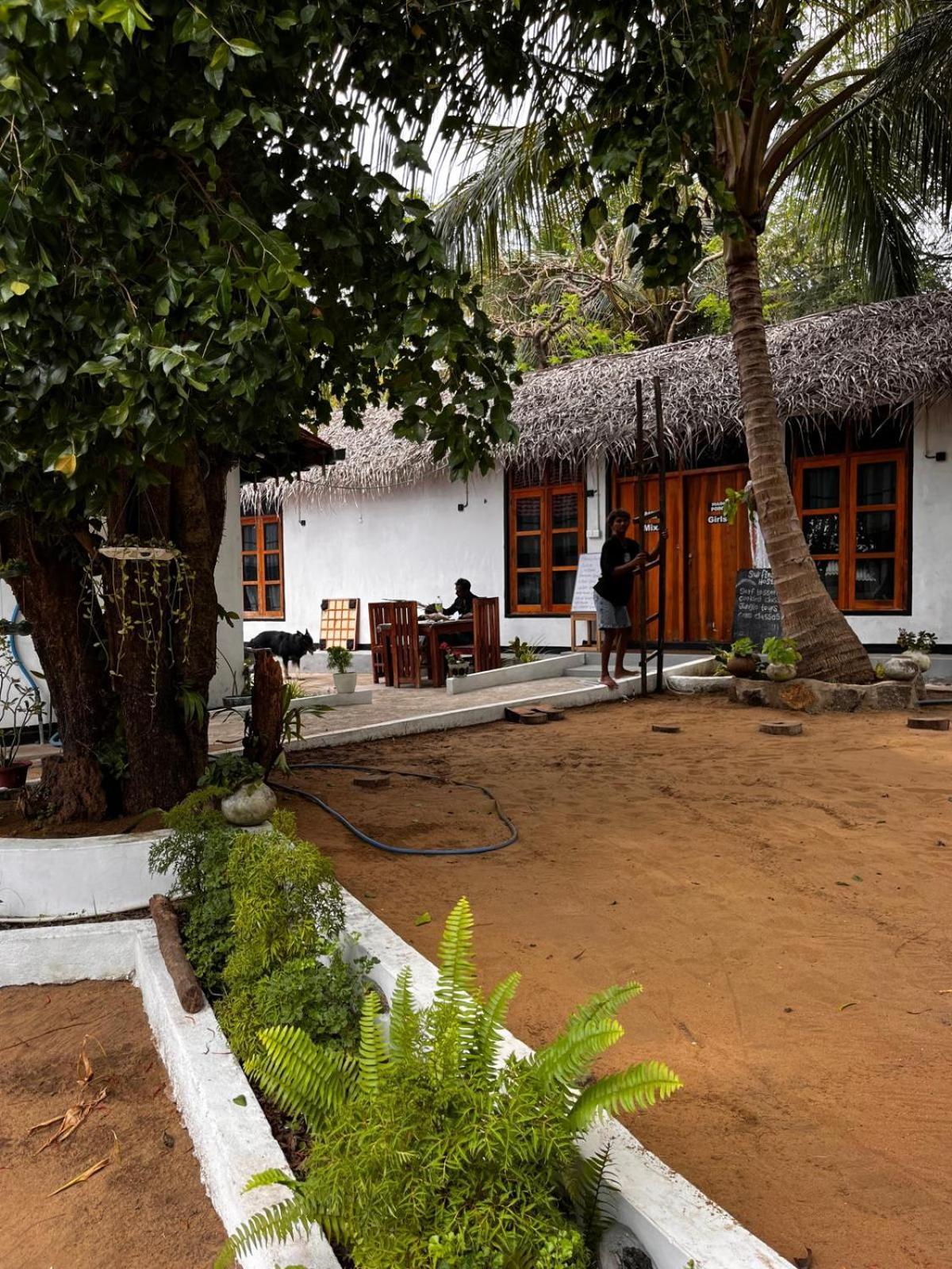 Surfing Lion Hostel Arugam Bay Exterior photo