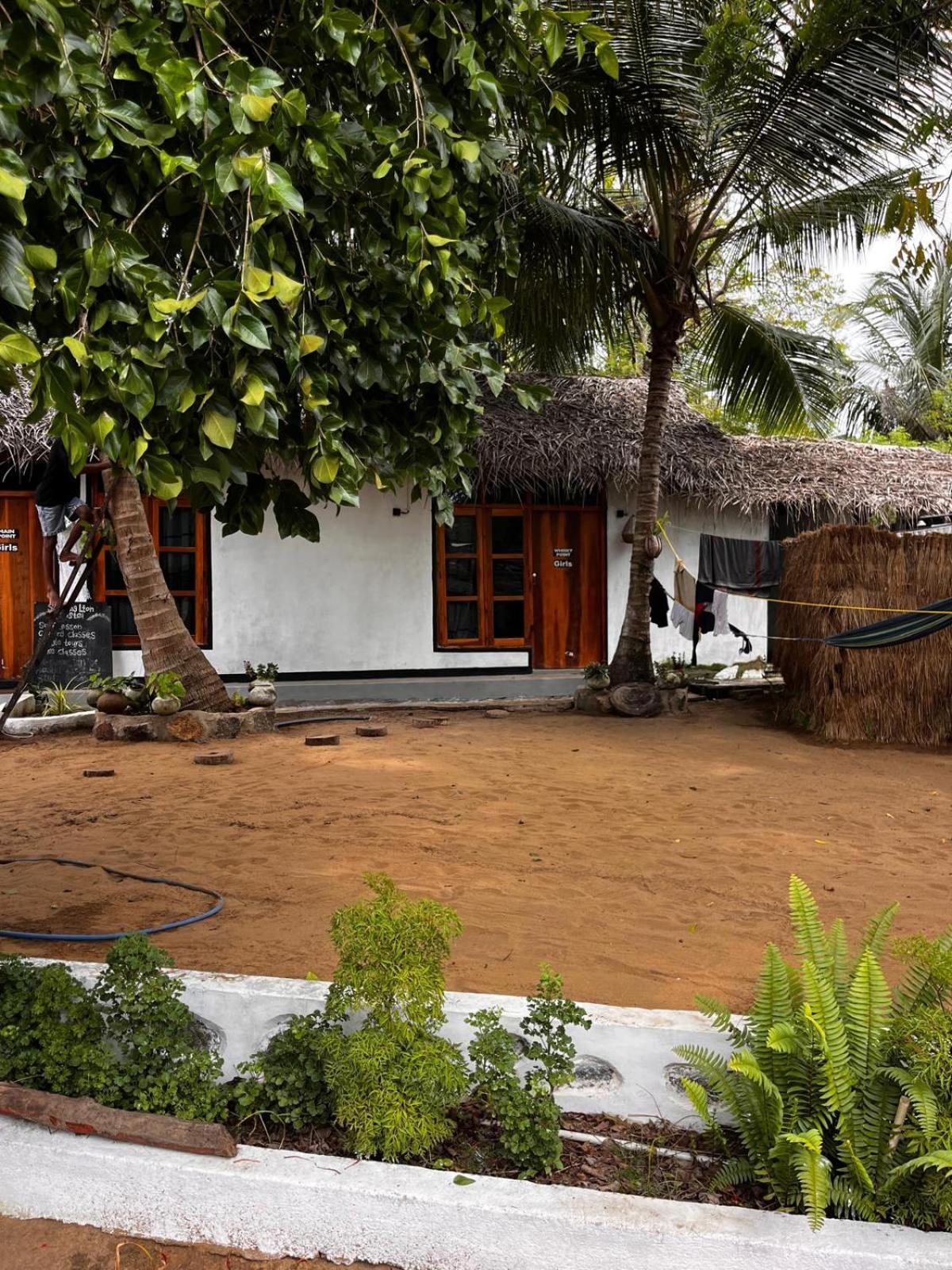 Surfing Lion Hostel Arugam Bay Exterior photo