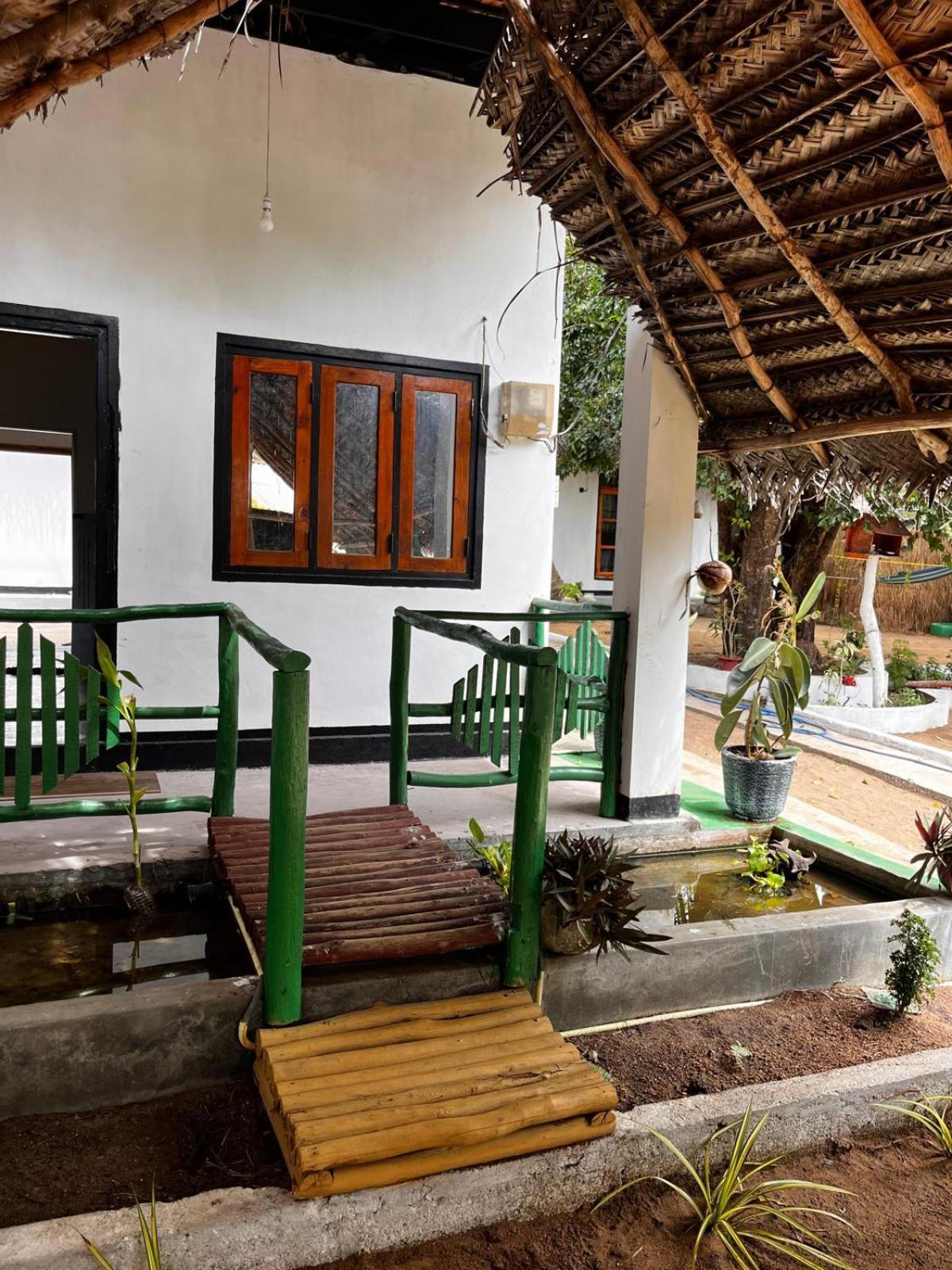 Surfing Lion Hostel Arugam Bay Exterior photo