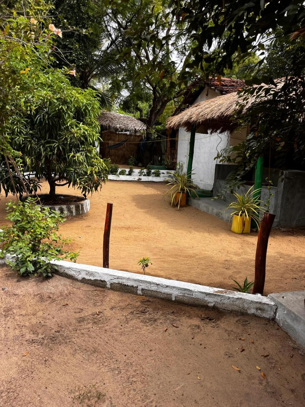 Surfing Lion Hostel Arugam Bay Exterior photo