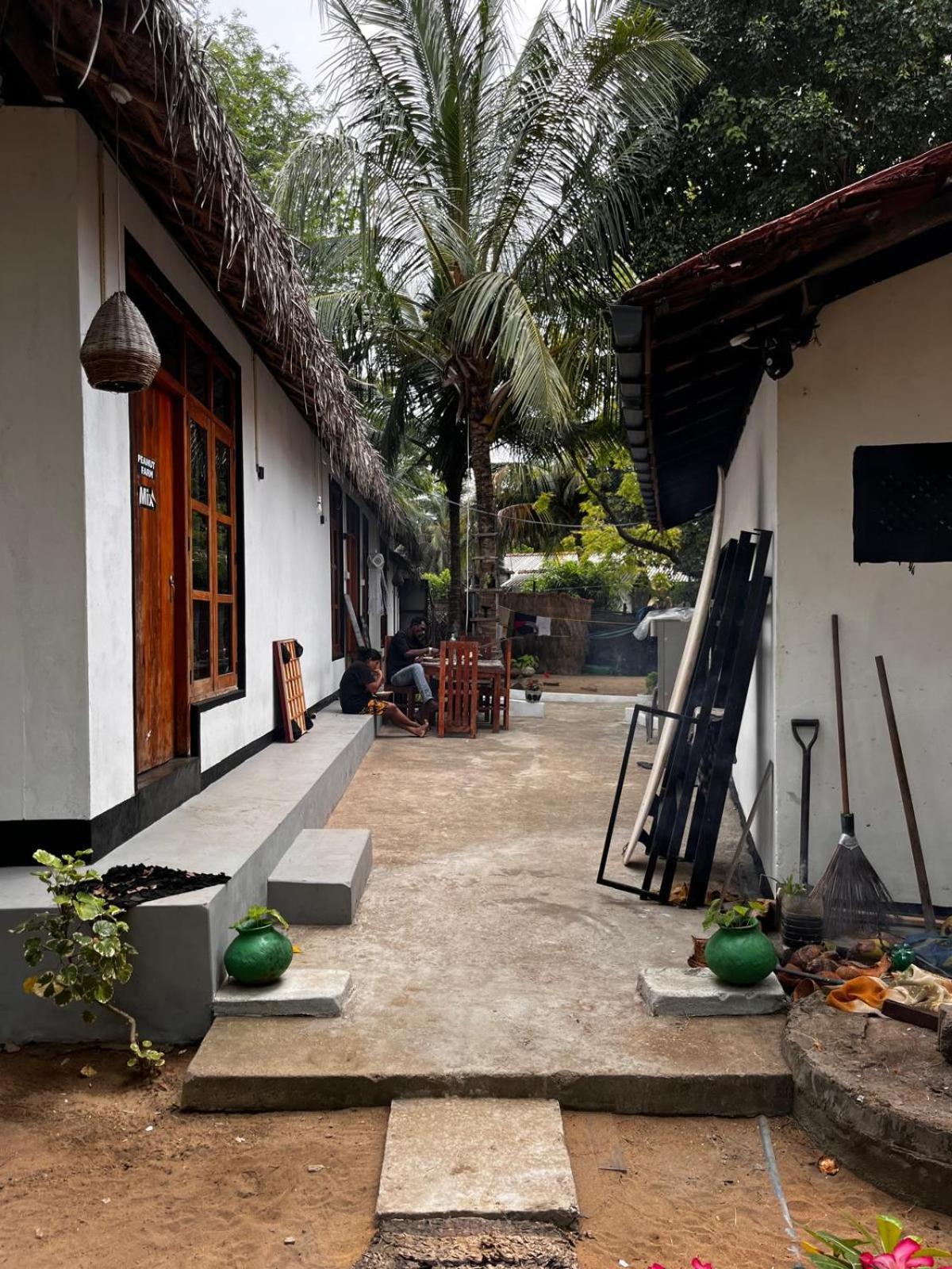 Surfing Lion Hostel Arugam Bay Exterior photo