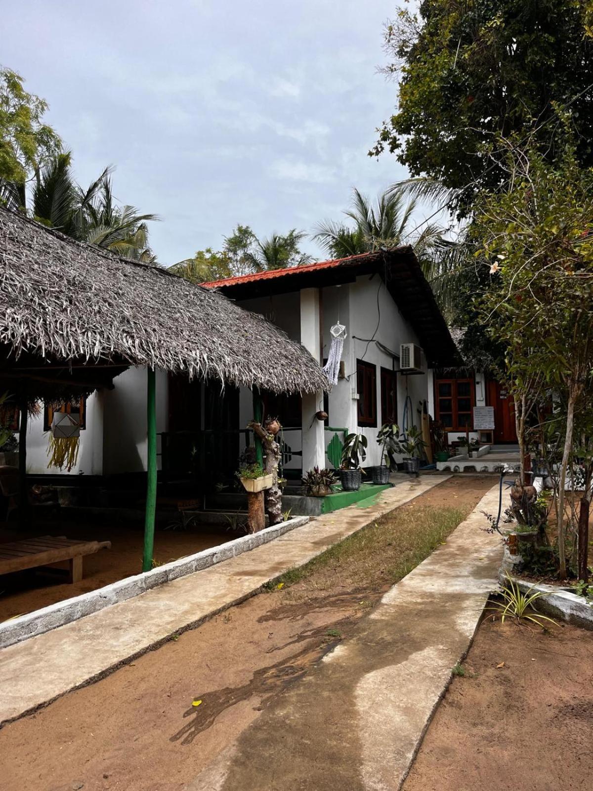 Surfing Lion Hostel Arugam Bay Exterior photo