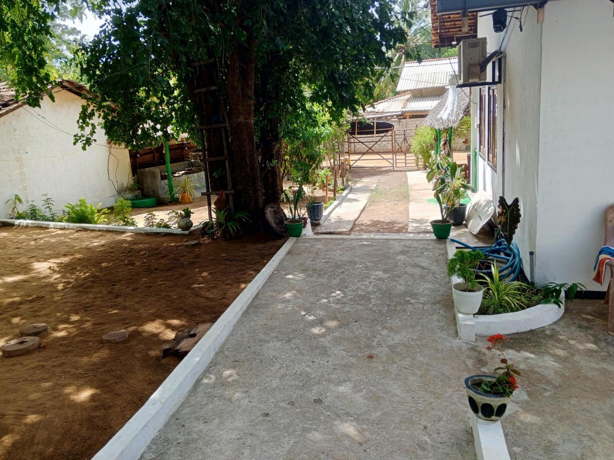 Surfing Lion Hostel Arugam Bay Exterior photo
