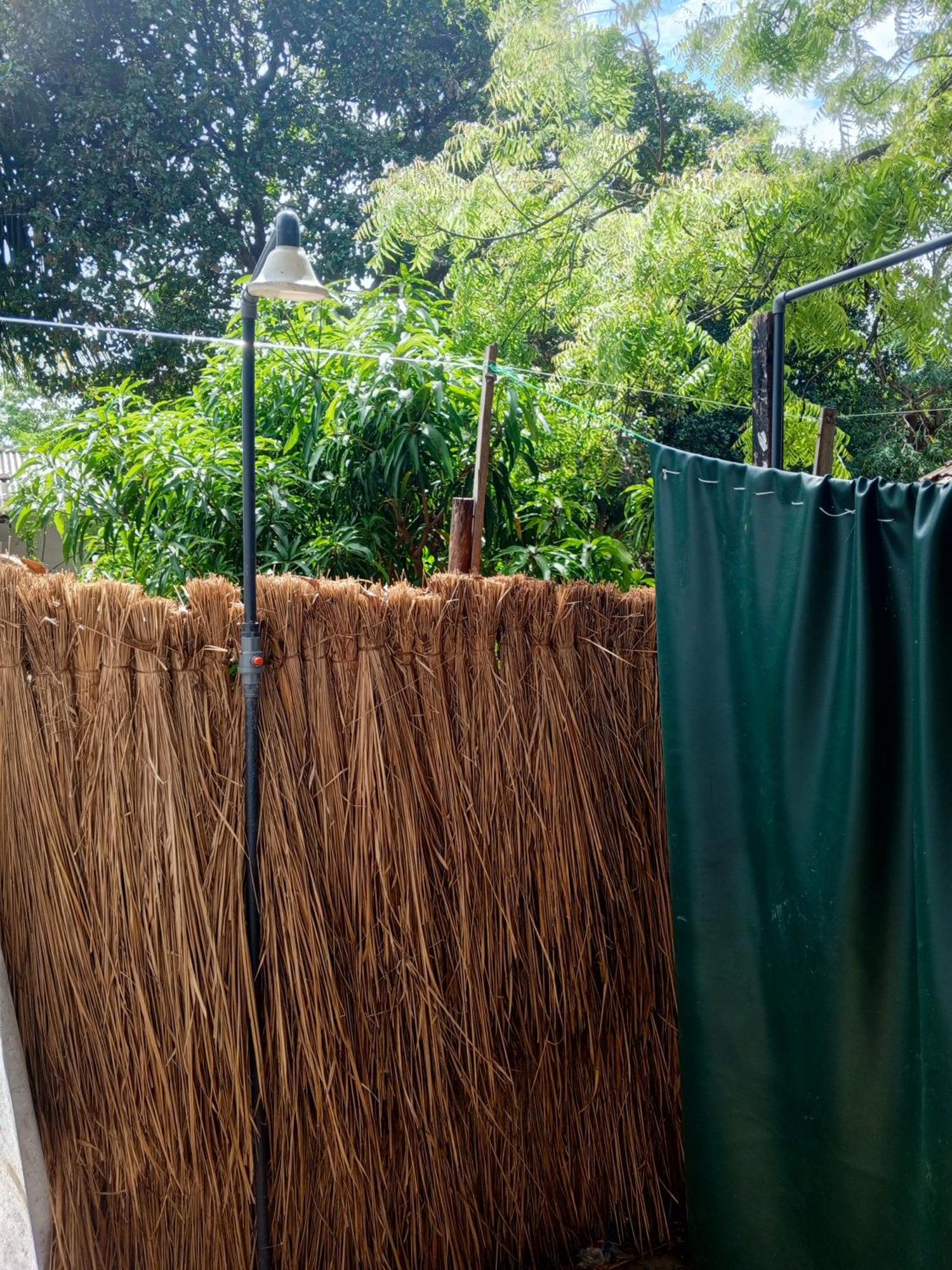 Surfing Lion Hostel Arugam Bay Exterior photo